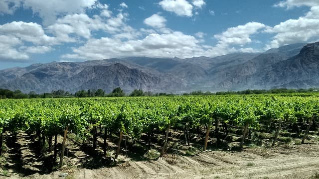 アルゼンチンワインの産地